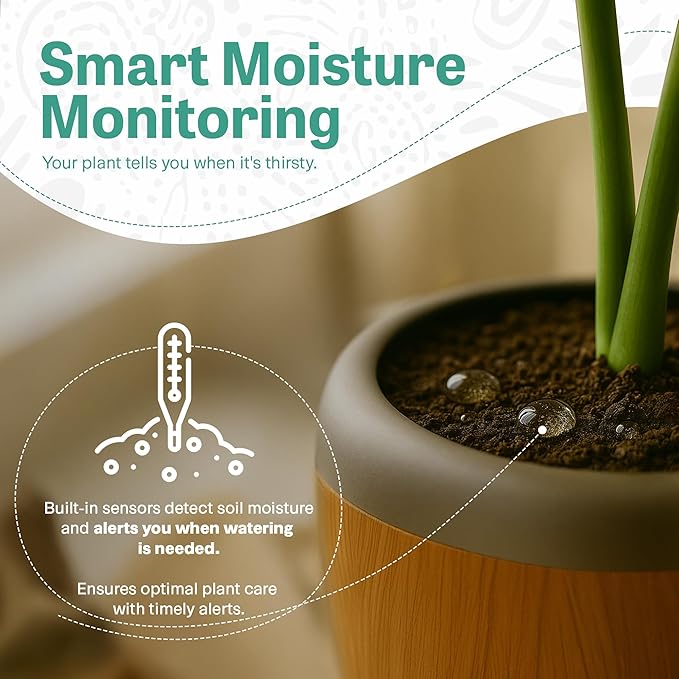 PLANTPETZ Extra Large Robotic Planter – Smart Planter Fits 6 Inch Pots | Bluetooth Speaker | Interactive Smart Plant Pot Turns A Real Plant Into a Touch/Motion Responsive Companion - Sequoia Woodgrain