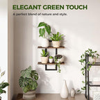 Bamworld Wall Planters for Indoor Plants Window Plant Shelves Vertical Plant Holder Wall Decor Plant Stand Indoor Floating Shelves for Plant Hangers for Living Room Bedroom Bathroom