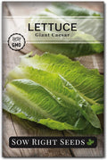 Sow Right Seeds - Giant Caesar Lettuce Seeds for Planting - Non-GMO Open Pollinated Heirloom Packet with Instructions to Grow Lettuce from Seed Indoors or Outdoors - Great Hydroponic Variety (1)