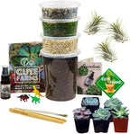 Cute Farms Terrarium Starter Kit | Moss, Vermiculite, Soil, Pebbles, Plant Food, & Finishing Tools (Large + 8 Live Plants)