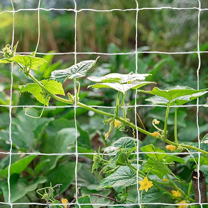 Tcamp Heavy-Duty Polyester Plant Trellis Netting 5 x 15ft (1 Pack) (5 Ft X 15 Ft)