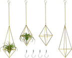 Air Plants Holders Hanging Airplants Hangers Himmeli Metal Wire 4Pcs Geometric Display Airfens Planter Frame 2 Sizes Tillandsia Holder with Chain and Hooks Decor for Home Office