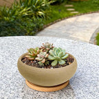 MUZHI 2 Pack Round Unglazed Ceramic Bonsai Pot with Bamboo Tray 8"+6.5", Large Rough Pottery Succulent Planter with Drainage Hole