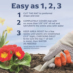 BloomingBulb Seed Mat - Easy to Plant and Grow Garden Seeds - Creates Fragrant, Vibrant Flower Garden (Easy Care Children's Mix)