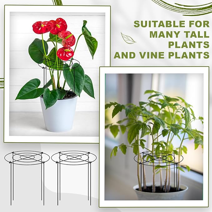Geelin 15 Pack Peony Cages Bulk 12'' Dx 16'' H Peony Cages and Supports Heavy Duty Metal Plants Grow Through Support Rings Hoops for Outdoor Plants Flower Strawberry Tomato Strawberry(Black)