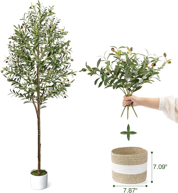 6FT Artificial Olive Tree - Indoor Tall Faux Olive Trees with Basket&3PCS 18Inch Olive Branches, Large Fake Olive Silk Tree Realistic Olive Plants for Home Decor Office Living