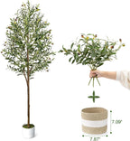 6FT Artificial Olive Tree - Indoor Tall Faux Olive Trees with Basket&3PCS 18Inch Olive Branches, Large Fake Olive Silk Tree Realistic Olive Plants for Home Decor Office Living
