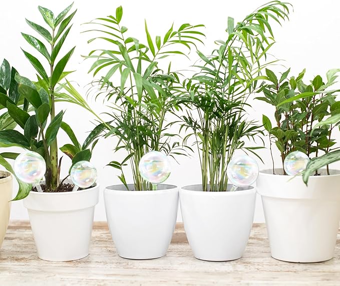 Pynqdfu 6Pcs Plant Watering Globes,Iridescent Rainbow Glass Self Watering Planter Insert,Clear Watering Bulbs for Indoor,Outdoor,Flowerpot,Hanging Plants,Home Garden(3 Large+3 Small)