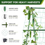 HIRALIY A Frame Cucumber Trellis for Climbing Plants Outdoor, 57" x 31" Heavy Duty Metal Garden Trellis, Rustproof Plant Support for Tomato, Grape, Bean, Raised Bed and Vegetable Gardens, Green