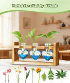 Nacome Plant Terrarium Propagation Stations: Mothers Day Gifts for Mom Plant Lovers Women Wife Daughter - 3 Bulb Glass Vase with Wooden Stand Tabletop for Hydroponics Home Garden Decor(Iridescent)