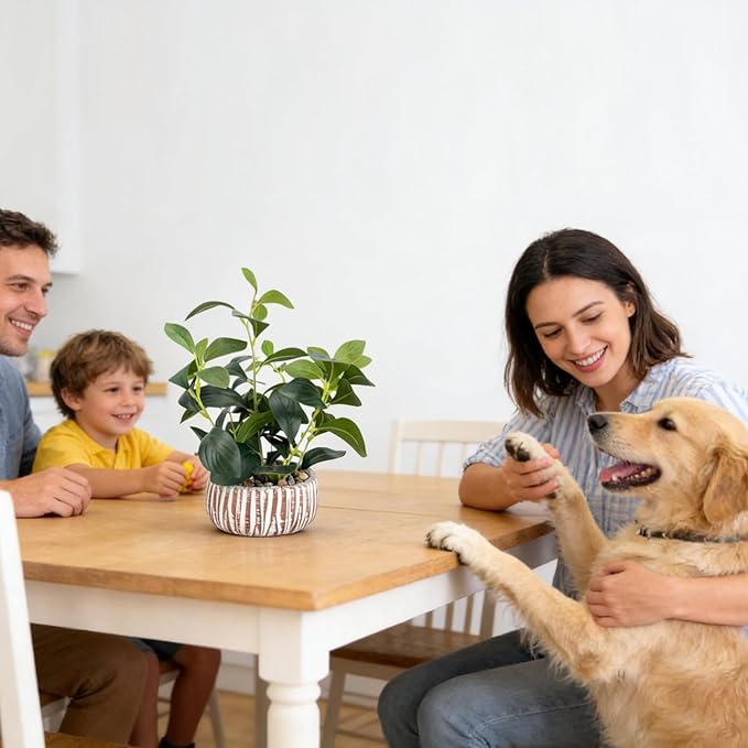 Artificial Potted Plants Life-Like Fake Plant with Farmhouse-Style Cement Planter Feturing Light Wood Tone for Room Bathroom Bedroom Kitchen Office Dese Coffee Table Décor (12.8inch)