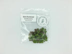 Giant Duckweed, Spirodela polyrhiza, Live Aquarium/Aquatic/Freshwater/Floating/Pond Plant, Planted Tank, Aquascaping by Aquarium Plant Center (30 Plants)