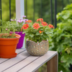 Ceramic Plant Pots - 6 Inch Plant Pot with Drainage Hole and Plug, Unique Planter for Indoor Plants Outdoor, Modern Planter, Round Orchid Pot, Room Decor, House Warming Gifts, Speckled-brown