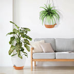 GARDIFE Large Hanging Planter, 12 inch Hanging planters for Indoor. Outdoor Plants, Self Watering Plant Pot, Plant Hanger, White