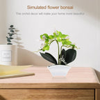 POPETPOP Artificial Orchid Flowers Mini Potted: Artificial Orchid in Pot Faux Orchid in Ceramic Vase Fake Flowers Arrangement Centerpiece Table Decorations for Home Office Green