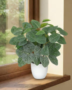 Oairse Artificial Fittonia Plants in White Pot - 15.7" Fake Nerve Plant Indoor Silk Faux Fittonia Plants Artificial Greenery Potted Small Faux Potted Plant for Office Desk Home Decor Shelf Bathroom
