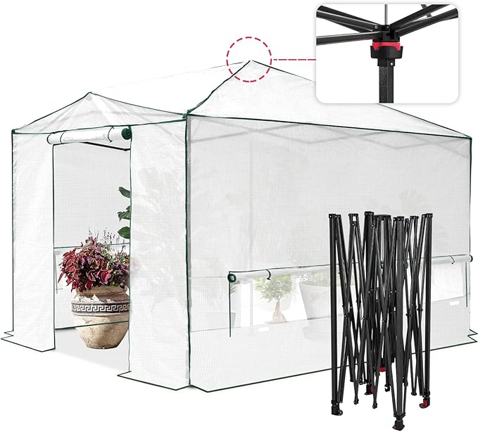 EAGLE PEAK 12x8 Portable Walk in Greenhouse, Pop Up Indoor Outdoor Greenhouse, Green House Kit with Zippered Roll-Up Doors, Windows + Support Pole, PE Cover, Clear/White