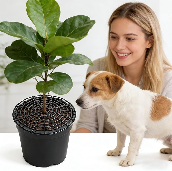 Plant Protectors from Animals, 30x2cm Protective Cuttable - Cuttable Plant Protector from Cats Indoor - for Indoor Outdoor Home Apartment Garden Pathway Flower Vegetable