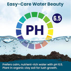 Lotus Seeds for Planting in Water | 30 PCS Mixed Color Bowl Lotus Seeds for Indoor Bonsai, Outdoor Ponds & Garden | Non-GMO Water Lily Aquatic Plant Seeds