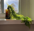 Artificial Boston Hanging Plants, Fake Ferns Ivy Plastic Plant Vine Faux Leaves UV Resistant Vines Greenery for Indoor Outdoor Bathroom Decor Office Garden Party Wedding DIY Decoration 4 Pack