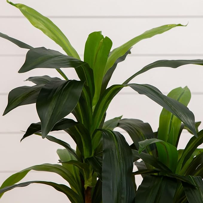 Nearly Natural 48in Artificial Dracaena with Real Touch Leaves and Multi Tonal Trunks, Large Indoor Silk Plant with Pot, Maintenance Free for Indoor Living Room and Home Office Decor