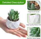 ZINHO Fake Succulent Plant Set 6 PCS Artificial Succulent Plants for Desk Realistic Faux Succulents in Plastic Pots Mini Colorful Succulent Decor for Bedroom Bathroom Office Shelf Decor (Mix)