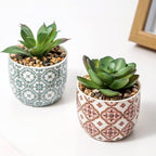 Artificial Plants Succulent Flowers in Ceramic Planter 2 Pack Small Fake Plants Potted for Home Office Desk Decor Farmhouse Living Room Bedroom Shelves Decoration