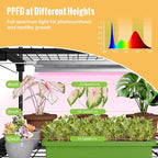 Mini Indoor Greenhouse with Grow Light, 4-Tier Plant Stand with Zippered Cover, Ventilation Window, Bottom Pouch, 20W Full Spectrum Plant Light with Timer for Seedling, 27"L x 19"W x 63"H