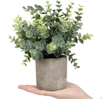 Flojery Mini Potted Plants Artificial Eucalyptus Boxwood Rosemary Faux Herbs Small House Plants 8.3"-9" Tall for Indoor Greenery Tabletop Décor Centerpiece (Sprayed Eucalyptus)