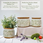 Vintage Ceramic Flower Pots - Indoor Outdoor Planters with Drainage Holes & Filter Screen, 6.5’’& 9’’ Rustic Farmhouse Decorative Plant Pots for Garden/Patio (Green Vines, Small to Large Bundle)