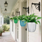 QCQHDU Self Watering Hanging Pots, 2 Pack 5.7 Inch Hanging Planters for Plants Indoor, Flower Pots with Drainage Holes and 3 Hooks Chains for Garden Home (Clear)
