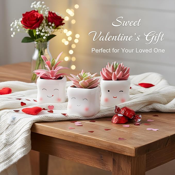 Tiita Cute Artificial Faux Succulents in Pots, Pink Fake Plants Ceramic Arrangement Planter Small Mini Tiny Decoration for Home Office Accessories Women Desk Window Sill Bathroom Bedroom