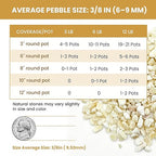 3/8 Inch Decorative Pebbles, Natural River Rocks for Indoor Plants, Succulents, Planters, Vases, Terrariums & Decorative Use, Cream Beige, 6LB