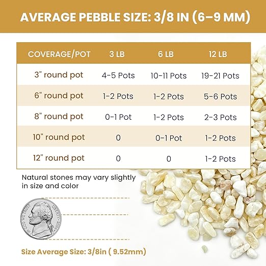 3/8 Inch Decorative Pebbles, Natural River Rocks for Indoor Plants, Succulents, Planters, Vases, Terrariums & Decorative Use, Cream Beige, 6LB