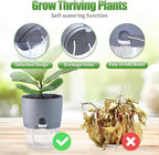 Oliz 6 Inch Self Watering Pots for Indoor Plants, 6 Pack Grey Plastic Flower Pots with Drainage Holes for African Voilet Herbs All House Plants (Include 1 Spray Bottle)