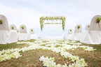 Miami FRESH CUT FLOWERS Orchid Loose Bloom OrchidClub USA by Sunne Tropical DIY Lei, food & drink decoration (50 WHITE)