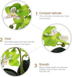 POPETPOP Artificial Orchid Flowers Mini Potted: Artificial Orchid in Pot Faux Orchid in Ceramic Vase Fake Flowers Arrangement Centerpiece Table Decorations for Home Office Green