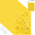 Qualirey 100 Pcs 6x8 Inch Yellow Sticky Traps for Gnats, Dual-Sided Sticky Gnat Traps for Indoor Outdoor Plants, Pest Control for Fungus Gnats, Fruit Flies, Whiteflies – Bulk Pack with Twist Ties