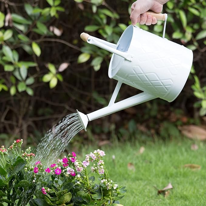 1 Gallon Watering Can with Wooden Handles, White, Galvanized, Metal Watering Can with Removable Spout, Perfect Water Can for Indoor and Outdoor Plants