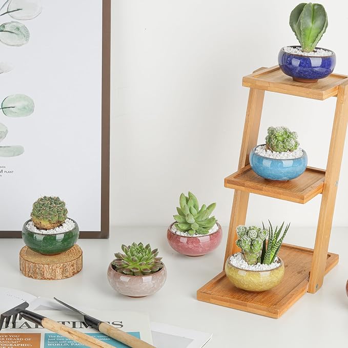 T4U 2.5 Inch Small Ceramic Succulent Planter Pot with Drainage Hole Set of 6, Ice Crack Glaze Plant Container for Cactus, Gardening Plant Gifts for Women Mom Aunt Home Office Decor
