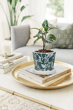 Set of 2 Ceramic Blue and White Plant Pots with Drainage Hole and Saucers, Vintage Farmhouse Accent Planters for Indoor Plants, Round Flower Pots Rustic Succulent Pot Terracotta Tubs 5.7/4.7 Inch