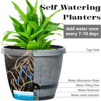 Sun-E Whiskey Barrel Self Watering Planters 10 Inch 3Pack with Water Level Window, Drainage Holes, Saucers & Plant Tags-Gray Imitation Wood Grain Pots for House Plants,Plants&Decor Not Included