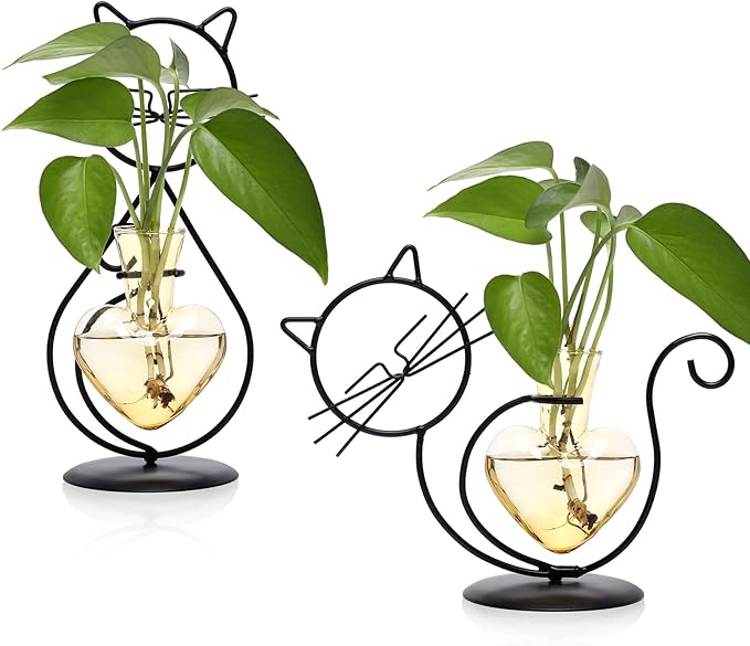 Plant Terrarium Plants Propagation Station Cat Lover Gifts for Women Home Office Decor Cat Desk Accessories