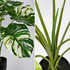 Hollyone Artificial Monstera Plant 17" Faux Monstera Deliciosa Plant in Black Pot Fake Swiss Cheese Tropical Plant Potted for Indoor Outdoor Floor Home Office Living Room Decor, 2 Pack