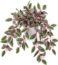 Briful Faux Plants Indoor Fake Potted House Plants Artificial Watermelon Peperomia Hanging Plant for Home Office Bedroom Aesthetic Shelf Kitchen Decoration(Pink - 1 Pack)