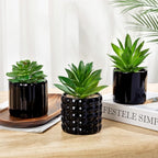 Briful Succulents Plants Artificial in Black Ceramic Pots (Set of 3), Small Fake Plants for Home Office Desk Decor – Modern Mini Potted Succulents for Bathroom, Bedroom, Living Room Table, Shelf