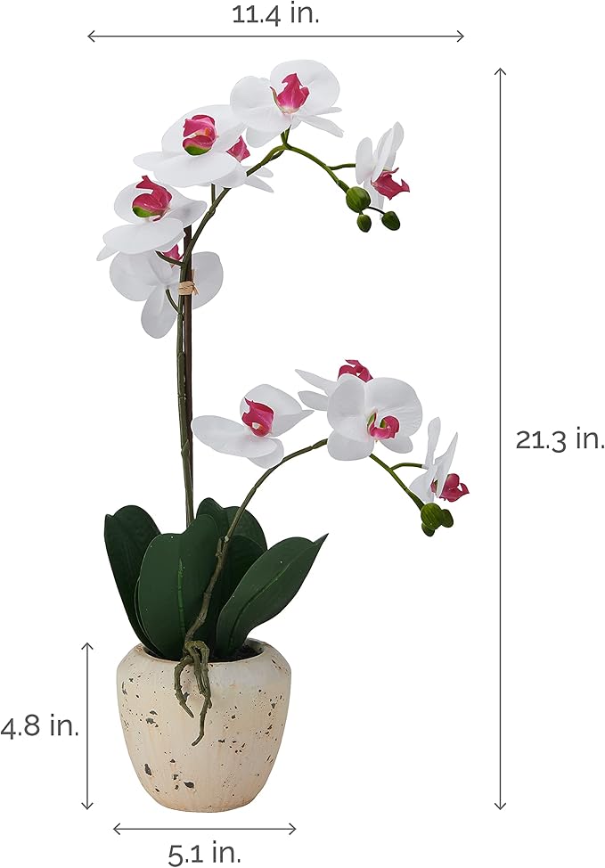 Mikasa Artificial Orchid in Pot, Real Touch Phalaenopsis Orchid, Faux Aged Cement Pot, 22-Inch Double Branch, White/Pink