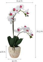 Mikasa Artificial Orchid in Pot, Real Touch Phalaenopsis Orchid, Faux Aged Cement Pot, 22-Inch Double Branch, White/Pink