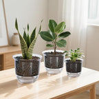 Plant Pots 6 inch Set of 3, Self Watering Pots for Indoor Outdoor Plants Flowers, Self Watering Planters with Reservoir, Drainage Hole and Absorbent Cotton Rope (3 Large)