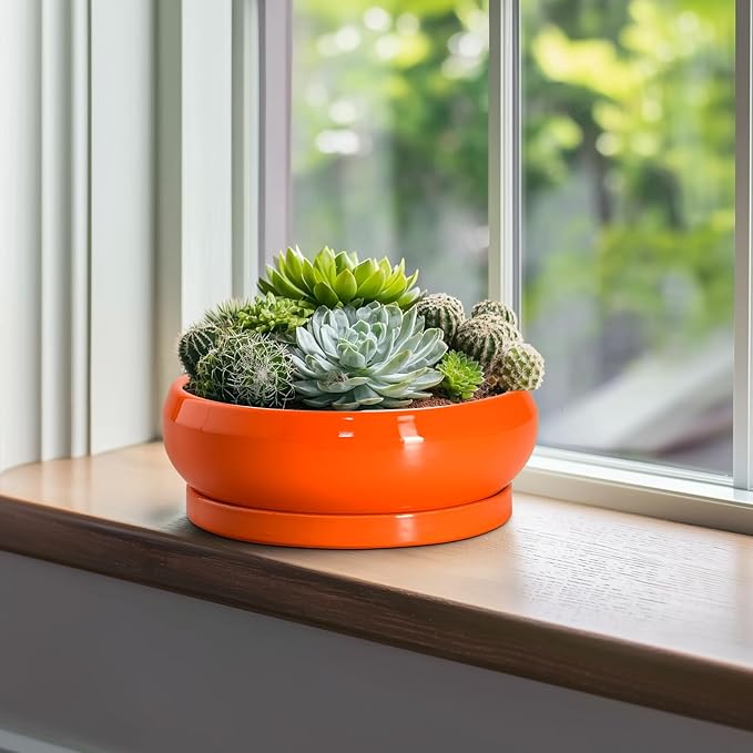 Bonsai Tree Pots - 10 Inch Ceramic Pots for Succulent Indoor Outdoor, Bonsai Pot with Drainage Hole and Tray, Round Planter Bowl, Shallow Planter, Home Decor, Housewarming Gift, Orange